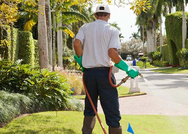 About Stockholm WI Pest Control Pros